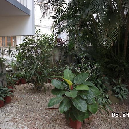 Sandra'S Home Kochi エクステリア 写真